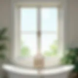 Elegant bathroom window adorned with privacy tint