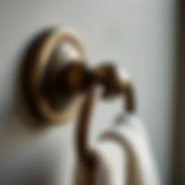 Close-up of a decorative bronze towel hook highlighting intricate details