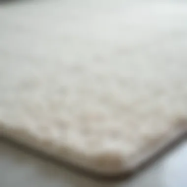 Close-up of textured low pile non-skid bath rug fabric