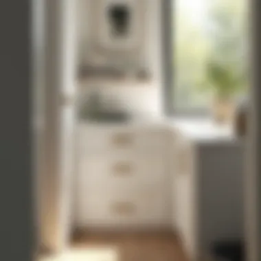 Functional Narrow Storage Drawers in a Compact Space Functional narrow storage drawers in a small bathroom
