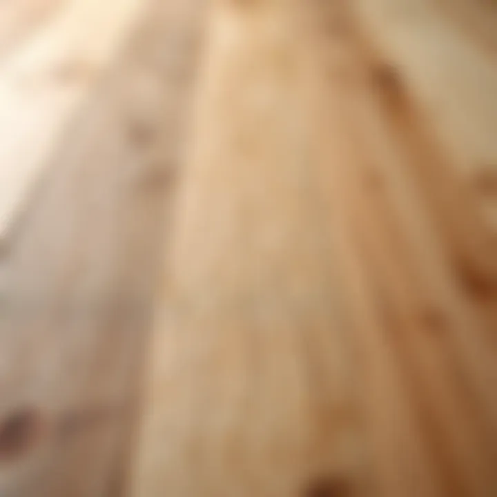 Close-up of natural pine texture highlighting eco-friendly material